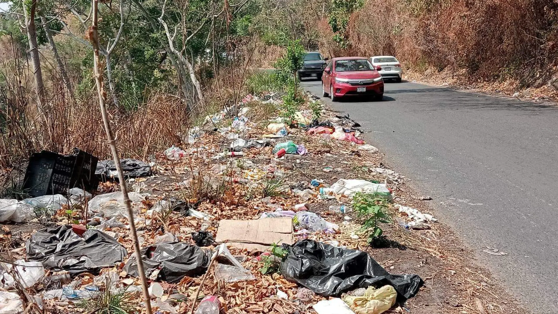 basurero clandestino